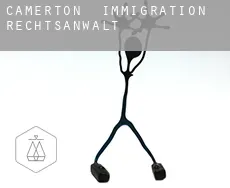 Camerton  immigration rechtsanwalt