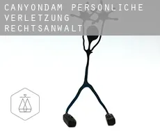 Canyondam  persönliche verletzung rechtsanwalt