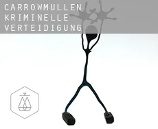 Carrowmullen  kriminelle verteidigung rechtsanwalt