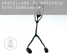 Castellare-di-Mercurio Scheidungsanwalt
