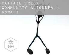 Cattail Creek Community Autounfall Anwalt