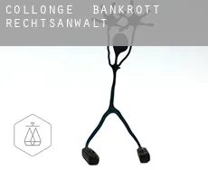 Collonge  bankrott rechtsanwalt