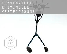 Cranesville kriminelle verteidigung rechtsanwalt