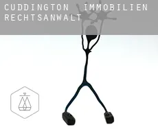 Cuddington immobilien rechtsanwalt