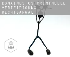 Domaines (census area)  kriminelle verteidigung rechtsanwalt