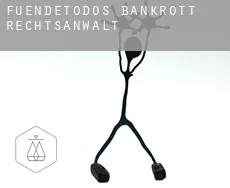 Fuendetodos  bankrott rechtsanwalt