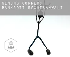 Genung Corners  bankrott rechtsanwalt