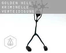 Golden Hill  kriminelle verteidigung rechtsanwalt
