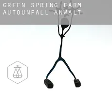 Green Spring Farm  Autounfall Anwalt