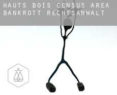 Hauts-Bois (census area)  bankrott rechtsanwalt