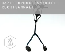Hazle Brook  bankrott rechtsanwalt