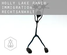 Holly Lake Ranch  immigration rechtsanwalt