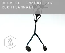 Holwell  immobilien rechtsanwalt
