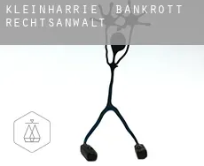 Kleinharrie  bankrott rechtsanwalt