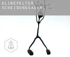 Klinefelter  Scheidungsanwalt