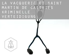 La Vacquerie-et-Saint-Martin-de-Castries  kriminelle verteidigung rechtsanwalt