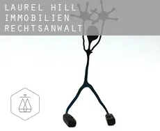 Laurel Hill  immobilien rechtsanwalt