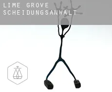 Lime Grove  Scheidungsanwalt