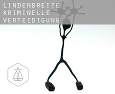 Lindenbreite  kriminelle verteidigung rechtsanwalt