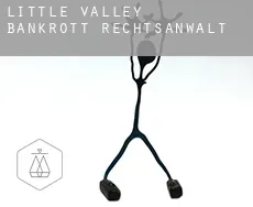 Little Valley bankrott rechtsanwalt