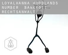 Loyalhanna Woodlands Number 1  bankrott rechtsanwalt
