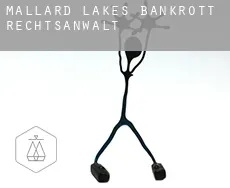 Mallard Lakes  bankrott rechtsanwalt