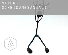 Maxent  Scheidungsanwalt