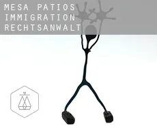 Mesa Patios  immigration rechtsanwalt