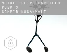 Motul de Felipe Carrillo Puerto  Scheidungsanwalt
