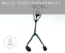 Nalle  Scheidungsanwalt