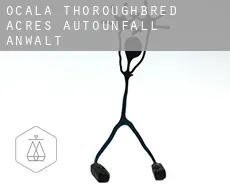 Ocala Thoroughbred Acres  Autounfall Anwalt