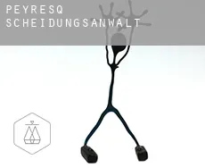 Peyresq  Scheidungsanwalt