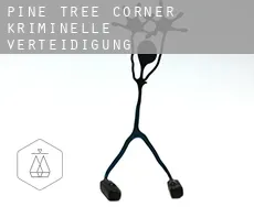 Pine Tree Corner  kriminelle verteidigung rechtsanwalt
