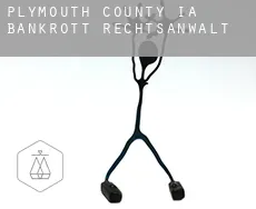Plymouth County  bankrott rechtsanwalt