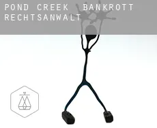 Pond Creek  bankrott rechtsanwalt