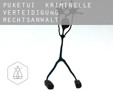 Puketui  kriminelle verteidigung rechtsanwalt