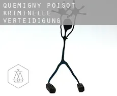 Quemigny-Poisot  kriminelle verteidigung rechtsanwalt