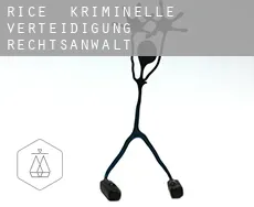 Rice  kriminelle verteidigung rechtsanwalt