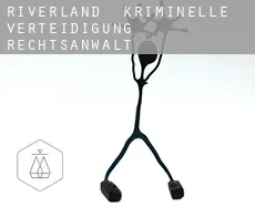 Riverland  kriminelle verteidigung rechtsanwalt