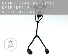 Saint-Jean-de-Livet kriminelle verteidigung rechtsanwalt