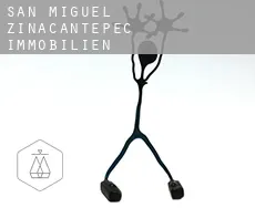 San Miguel Zinacantepec  immobilien rechtsanwalt