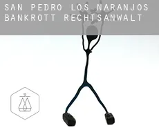 San Pedro de los Naranjos  bankrott rechtsanwalt