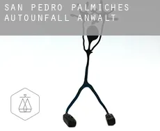 San Pedro Palmiches  Autounfall Anwalt