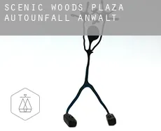 Scenic Woods Plaza  Autounfall Anwalt