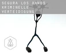 Segura de los Baños  kriminelle verteidigung rechtsanwalt