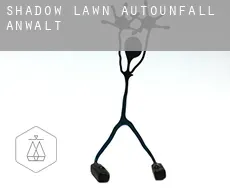 Shadow Lawn  Autounfall Anwalt