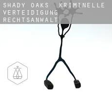 Shady Oaks  kriminelle verteidigung rechtsanwalt