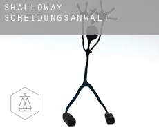 Shalloway  Scheidungsanwalt