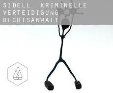 Sidell  kriminelle verteidigung rechtsanwalt