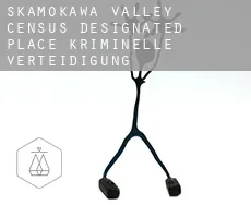 Skamokawa Valley  kriminelle verteidigung rechtsanwalt